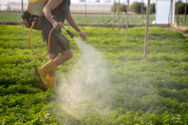 Best Wildlife Control Services  in Evansville, WI