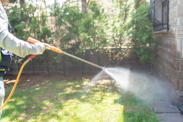 Best Local Pest Control Services  in Evansville, WI